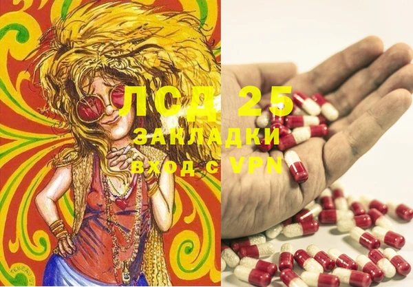 скорость Липки