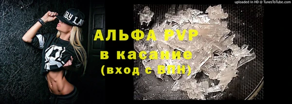 ГАЛЛЮЦИНОГЕННЫЕ ГРИБЫ Лихославль