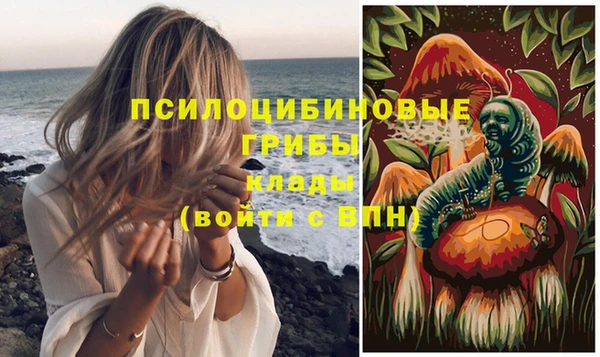 скорость Липки