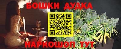 индика Заводоуковск