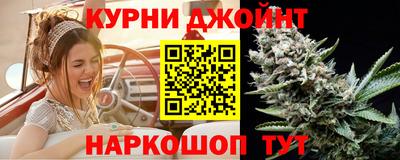 индика Заводоуковск
