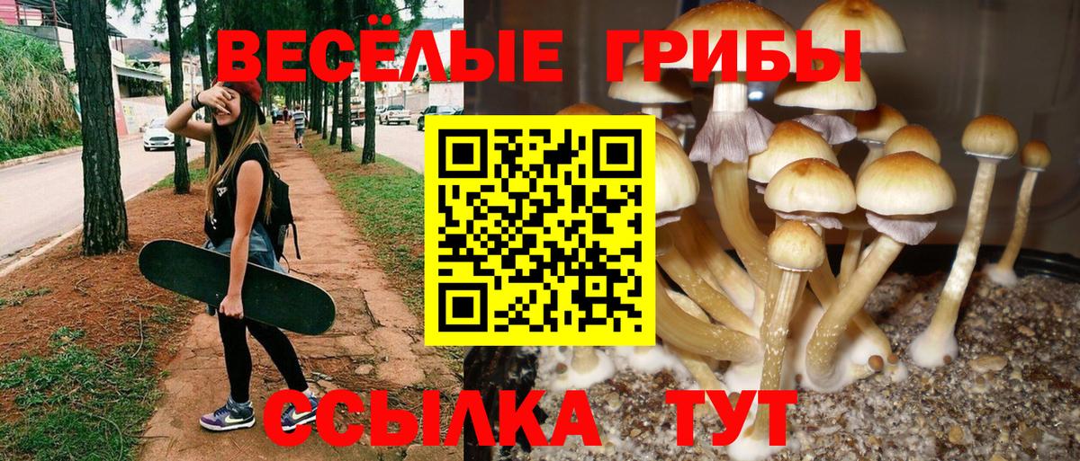 Псилоцибиновые грибы прущие грибы Сызрань